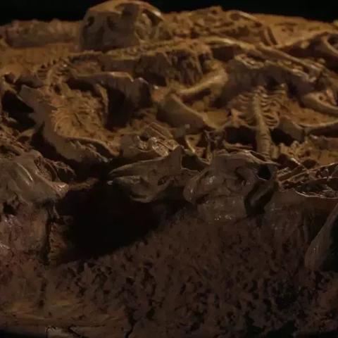 时空之门全品类玩法揭秘，触发秘钥、隐藏奖励与跨游速通实战指南