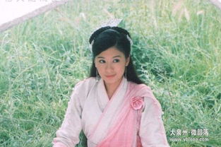 贾静雯3娃性格大不同，不同类型娃该怎么养？附天赋挖掘实战指南