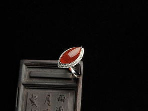 洪门戒指喂什么类型性价比最高？2026年全场景喂养方案+避坑指南