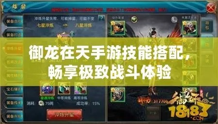 御龙在天天赐怎么选？职业适配/战场增益/进阶玩法全攻略