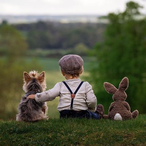 大神传，小小太阳鲜为人知的隐藏收集+BOSS无伤攻略｜新手全维度指南