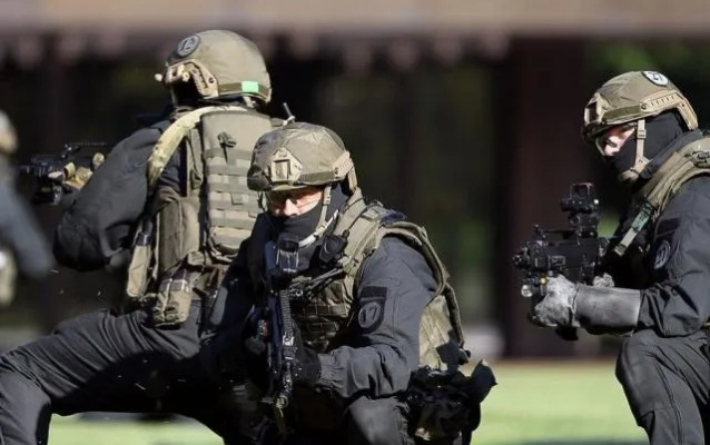 2026特种部队类型全解析，匹配热门作战需求的冷门适配与胜率提升指南