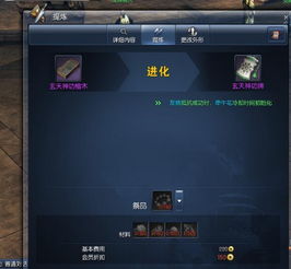 神功护体有哪些类型？2026实测匹配热门需求，平民堆满配防御链攻略