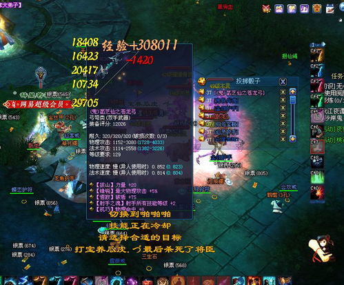 气宗贼怎么玩才能冲分？2026年天梯热门流派，构筑、技巧与避坑全解析