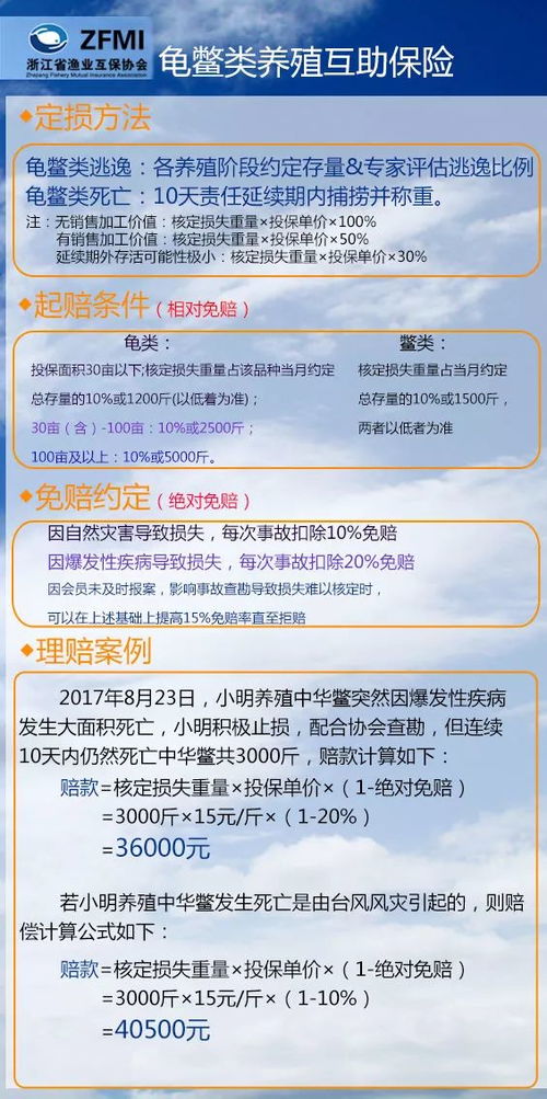 2026宠物饲养许可证全解析，类型划分、热门场景适配及零踩坑办理指南