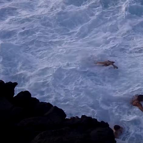 Queentt类女王养成进阶指南，权谋、经营与势力平衡的全场景实战攻略