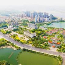 美味战争从青铜到传奇，独家阵容搭配、资源速刷、对战翻盘技巧全解析