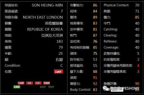 无根门内功属性暗线拆解，适配PVP/PVE热门需求的实战进阶指南