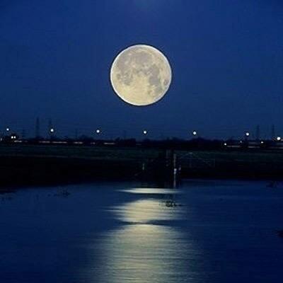 宝可梦月亮精灵，从冷门到T0？2026年养成、配队、实战全攻略