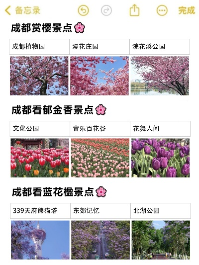 排2小时仅看3分钟花花？2026成都熊猫基地高效打卡全攻略