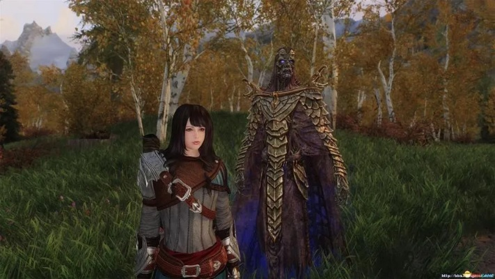 上古卷轴5随从怎么选？全类型拆解+核心需求精准匹配指南