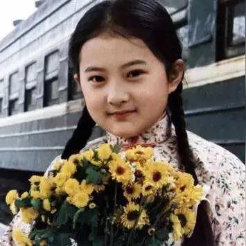 撒贝宁关晓彤爆火广场舞全解析，类型拆解、同款教学及中老年适配指南