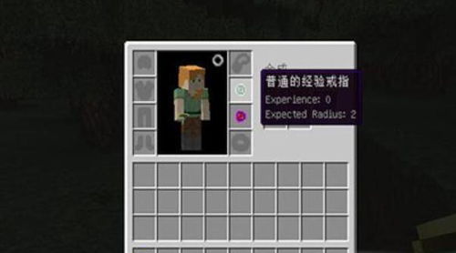 我的世界珍妮模组怎么下？3类合规渠道+2026年热门需求避坑指南