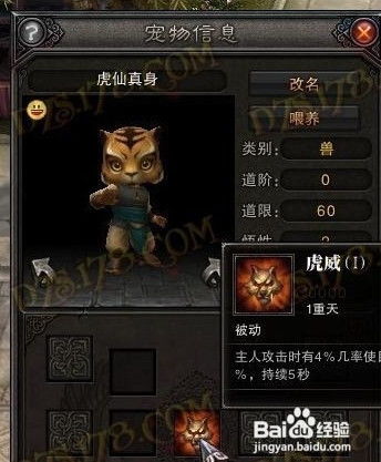 斗战神虎仙真身全攻略，物理系爆发灵兽怎么培养？2026最新技能搭配+实战解析