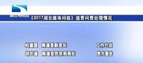 QQ宠物停运4年，情怀党必追的3类替代玩法+2026年怀旧数据揭秘