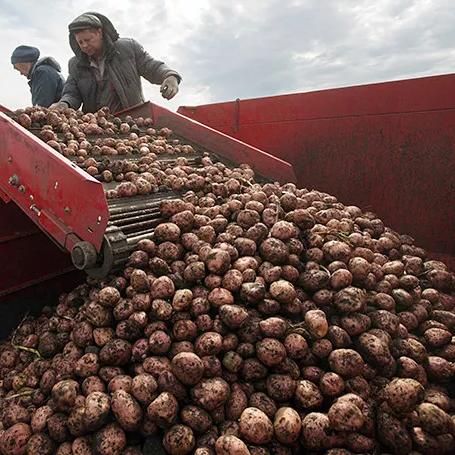 2026DNF蔬菜合成怎么玩？类型拆解+热门需求匹配，零浪费拿满奖励