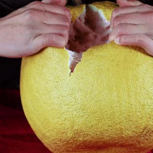 水果猎人打假东方甄选反遭投诉？3类侵权类型拆解+创作者避坑全攻略