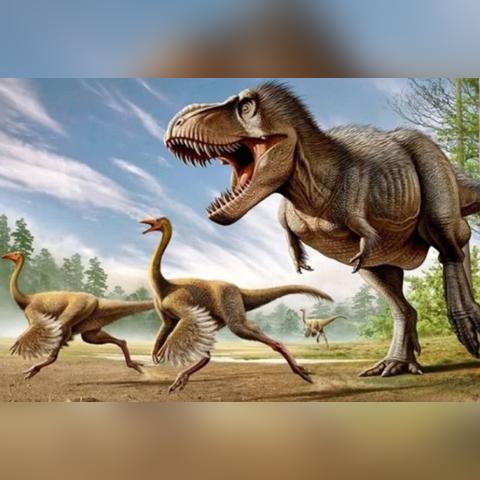 霸王2配置怎么选？硬核拆解4类机型，匹配爽玩/Mod/直播全需求