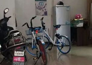 偷10万自行车只卖100元？拆解高值赃物低价销赃的3个隐秘套路与避坑指南