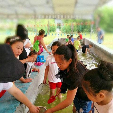 动物之森钓鱼全类型拆解，解锁隐藏机制，速刷稀有鱼种/图鉴/金币全攻略