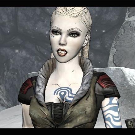 无主之地2游民类型全解析，匹配刷宝/组队需求，解决90%玩家核心痛点