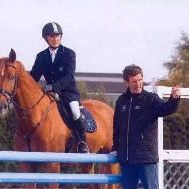 5.0版本坐骑深度指南，稀缺类型盘点、热门需求匹配与高效收集技巧