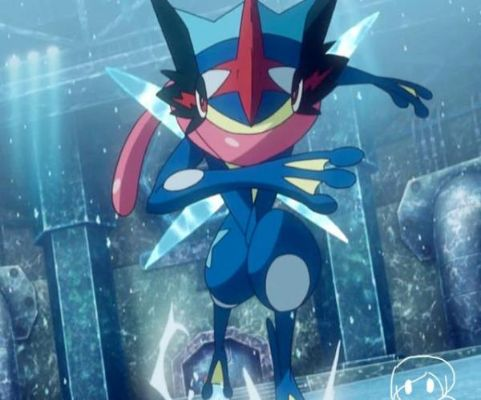 甲贺忍蛙怎么玩到天花板？羁绊进化、配招、单刷实战全攻略