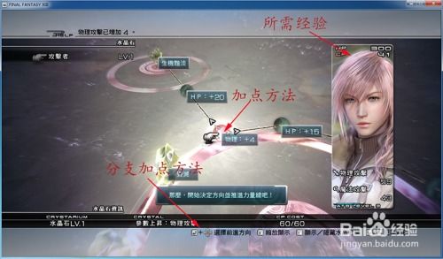 风色幻想6新手&回归终极指南，隐藏要素解锁、角色养成与逃课技巧全解析