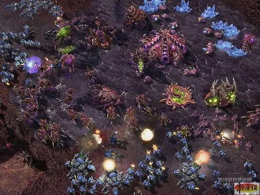 星际母巢之战，新手30天登顶天梯？RTS硬核进阶全指南