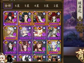 彼岸花御魂怎么选？2026全场景适配+冷门流派隐藏最优解