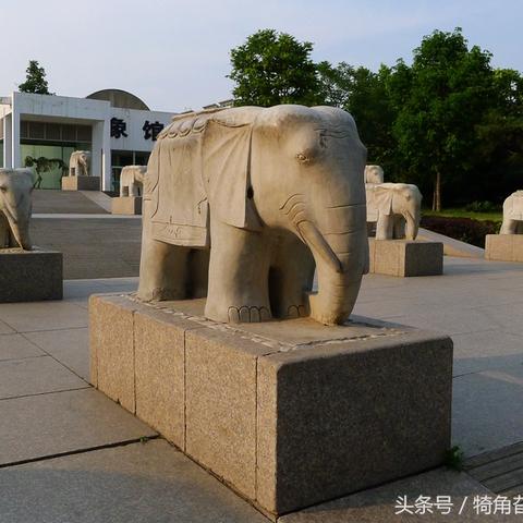 昆明动物园将猫移出猴山，动物福利逻辑拆解，游客关心的核心问题全解答