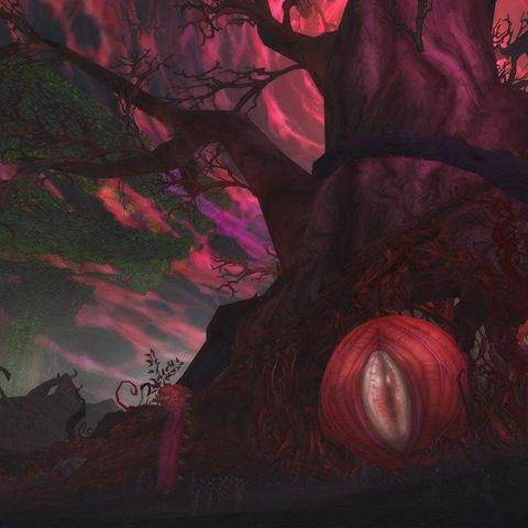 暗黑2重制版橡树之心深度指南，制作避坑/职业适配/实战配装全解析