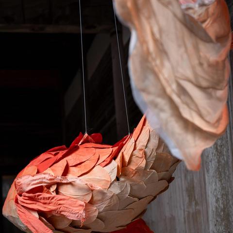 皇家骑士团，重生新手怎么玩？职业搭配、全结局触发与隐藏要素全指南