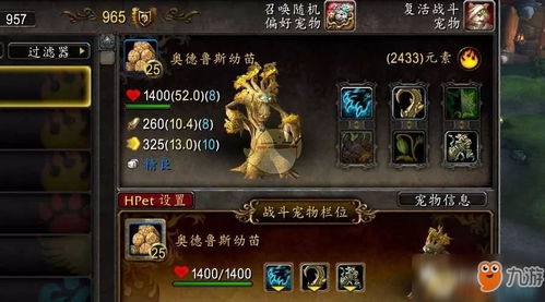 魔兽猎人宠物类型硬核解析，2026年PVE/PVP热门需求精准匹配指南