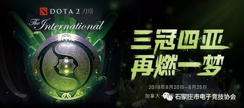 SL9联赛深度解析，为何它是DOTA2职业赛史的战术启蒙标杆？