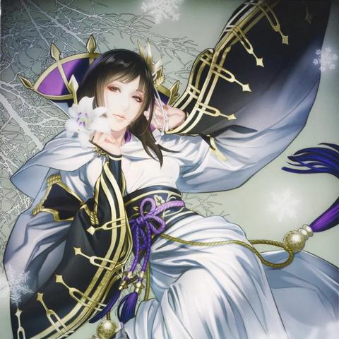 大蛇无双全人物类型深度拆解，鲜有人知的流派分类，精准匹配开荒刷本需求