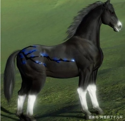 剑网3马驹全指南，选种繁育养成，冷门神驹适配全场景需求