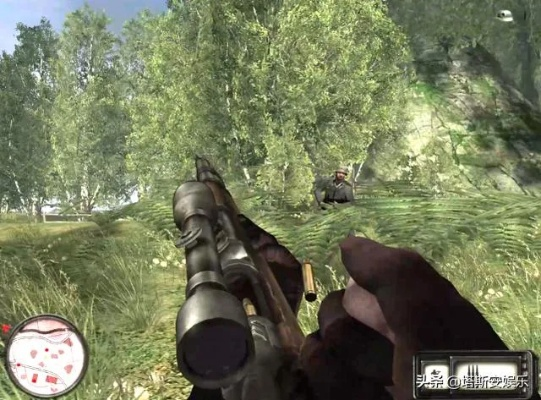 二战狙击手类型全拆解，匹配热门游戏需求，精准解决各场景狙杀痛点