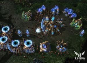 星际2虫族钻石冲大师，冷门运营链+防骚扰细节，30天稳上大分？