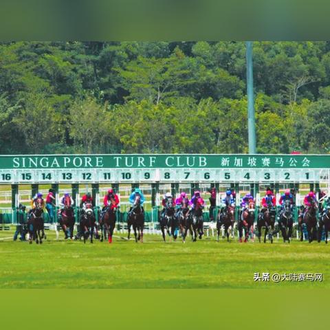 天龙八部至尊公会卡怎么选？3类卡种匹配热门需求+2026最新申领技巧