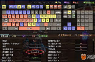 2026DNF装备怎么选？全类型拆解+热门需求匹配，覆盖搬砖/毕业/单刷场景