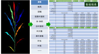 2026年搏击手类型全解析，精准匹配热门需求，从赛场到商业变现的实战指南