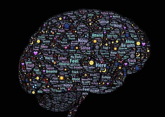 想成为NoTail式团队大脑？路人到职业的全局思维修炼全解析