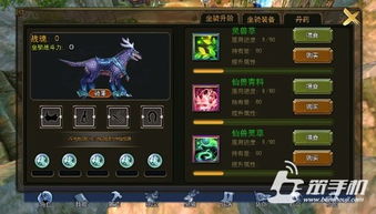 大灾变坐骑怎么选？全类型解析+热门需求匹配&高效获取攻略