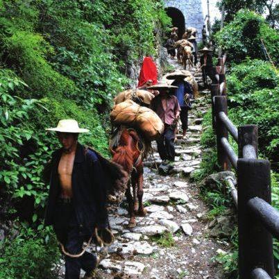 僰人题材游戏实战攻略，悬棺解谜技巧、部族任务通关、隐藏彩蛋全解析