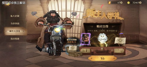 2026哈利波特魔法觉醒礼包码全解析，类型盘点、隐藏技巧&热门需求精准匹配