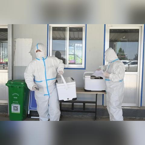 桃园采集终极实战指南，稀有素材刷新规律、高效路线与技能升级全解析