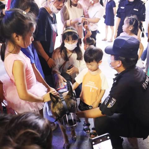 票房破19亿，反诈犯罪片凭什么爆？拆解其出圈的3个核心门道