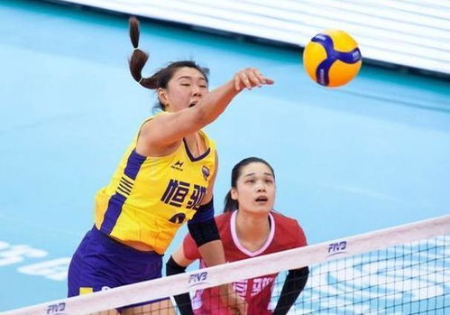 2026年泳衣团购怎么选？3类核心团型+热门需求匹配，避坑还省钱