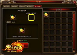 龙之类型全维度拆解，匹配热门玩法需求，解锁专属战力提升路径